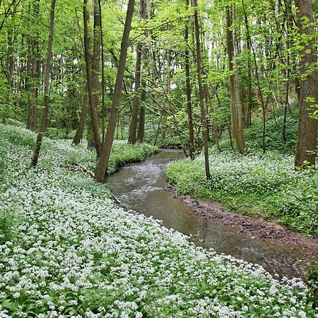 Finest Retreats - Ingleby Manor - Manor